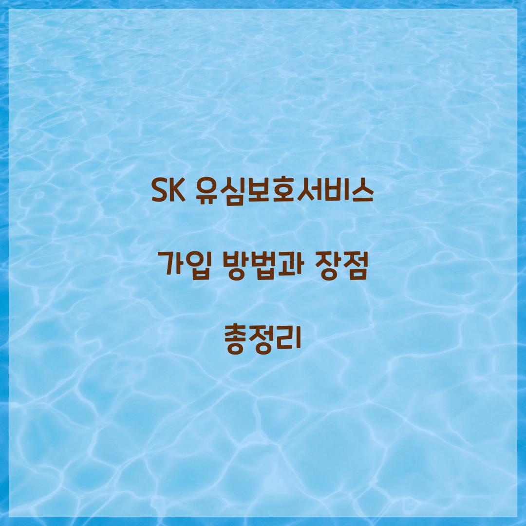 SK 유심보호서비스 가입