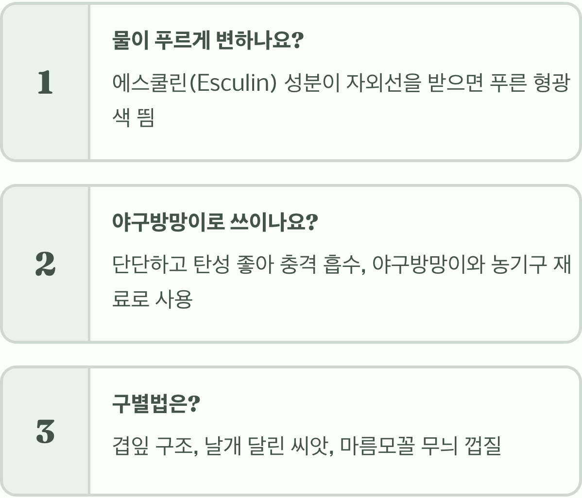 물푸레나무의 사계절, 계절에 따라 변하는 아름다운 모습