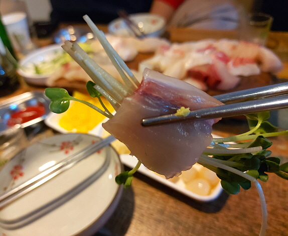 참돔 숙성회