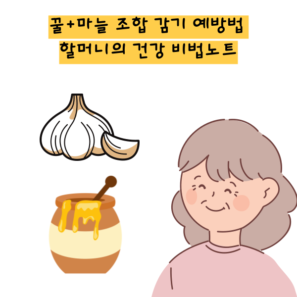 꿀+마늘 조합 감기 예방법 할머니의 건강 비법노트