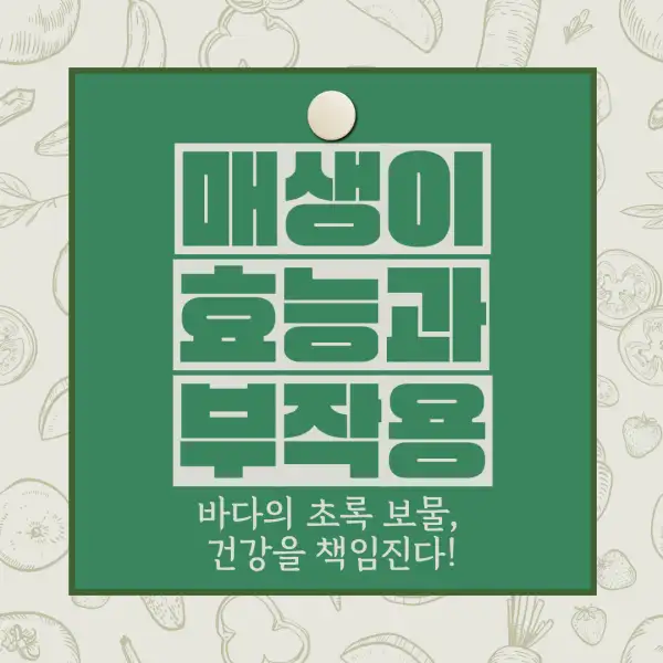 매생이 효능과 부작용