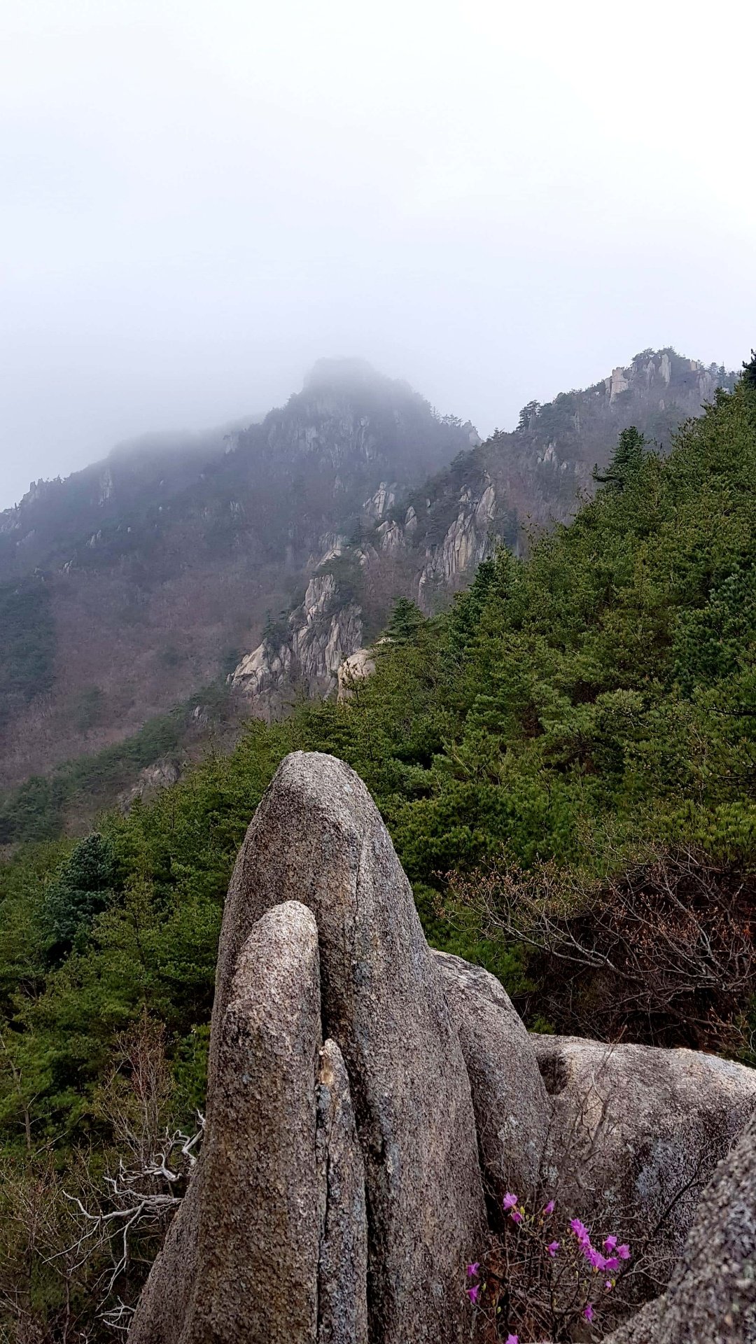합천 남산제일봉