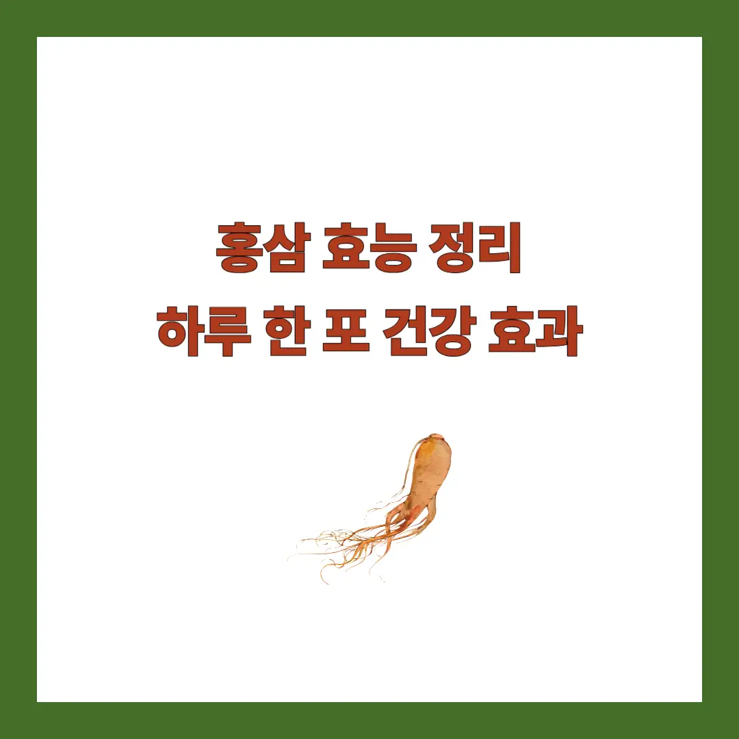 홍삼 효능
