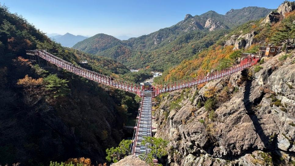 경상도 겨울 트레킹 추천 BEST 5 : 고요하고 깊은 남부의 겨울 숲길