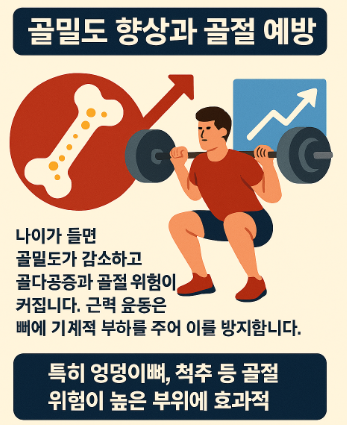골밀도 향상과 골절 예방