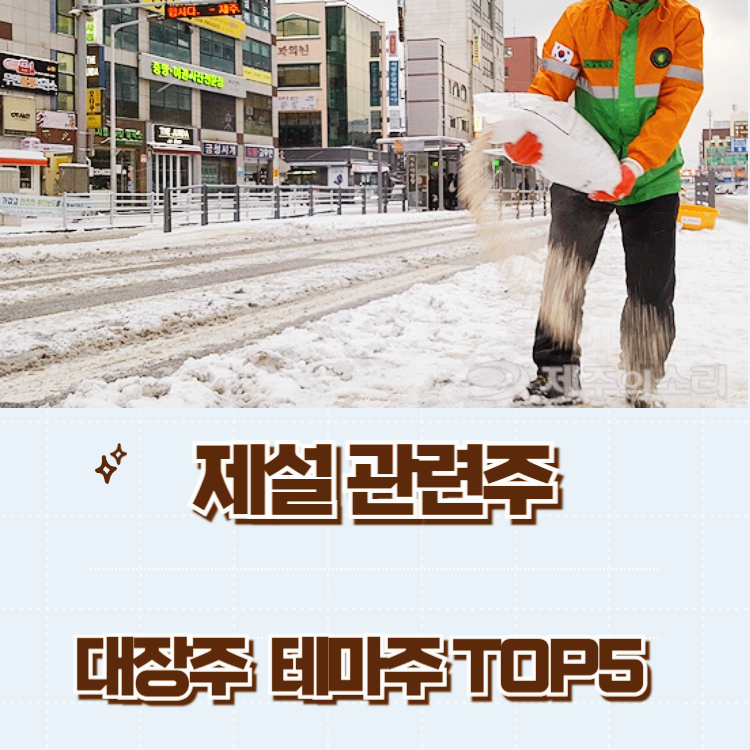 제설 관련주 대장주 테마주 수혜주 TOP5