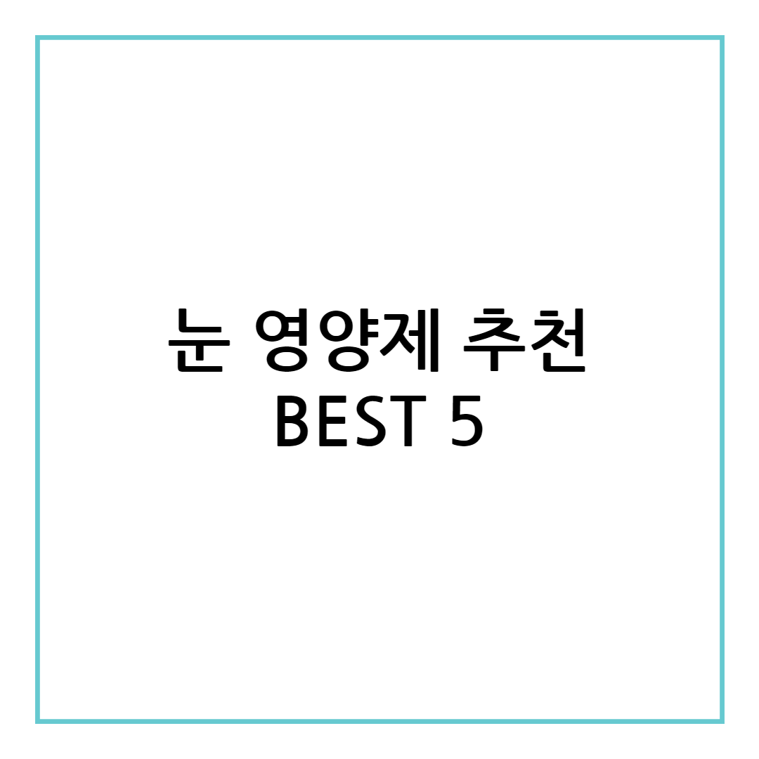 눈영양제 추천