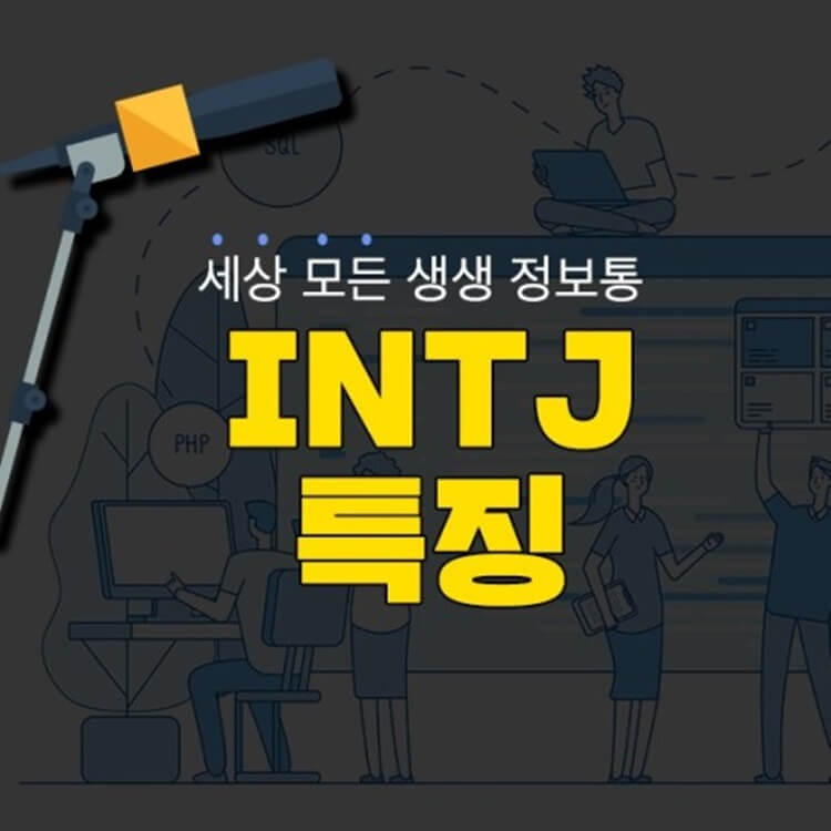 MBTI-INTJ-특징