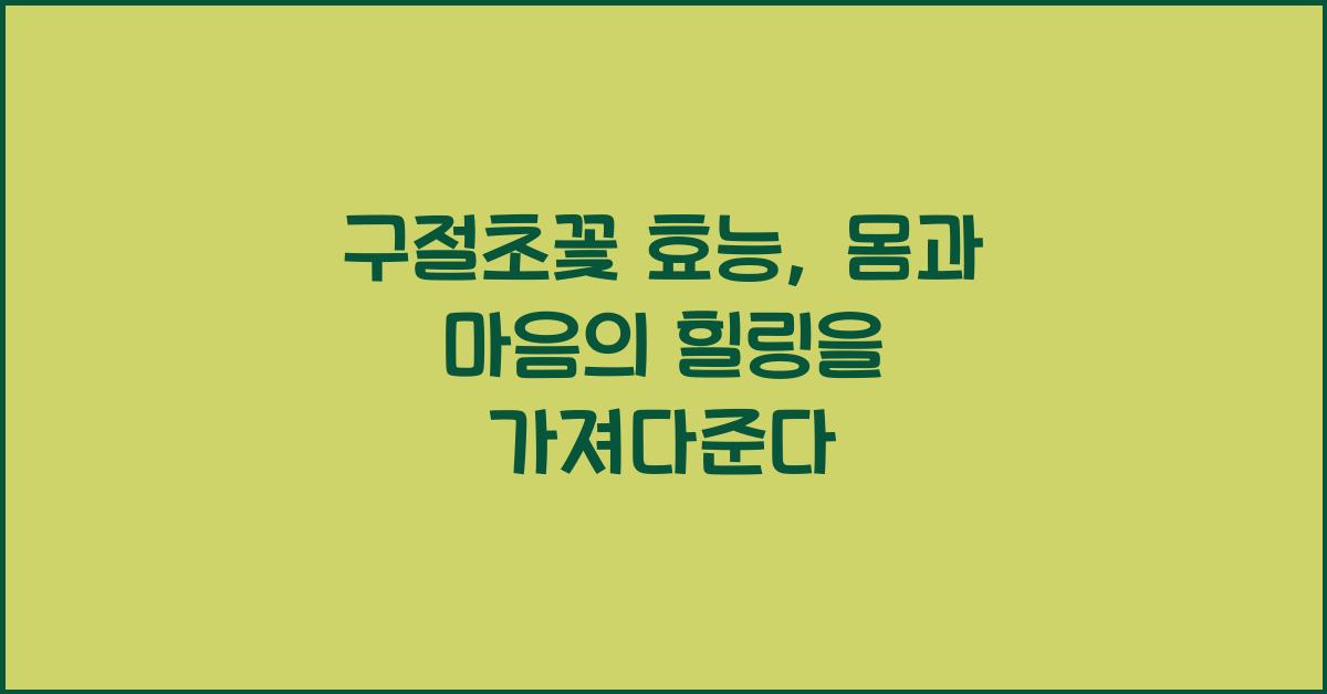 구절초꽃 효능