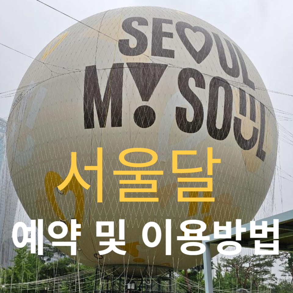 서울달 예약방법 요금 탑승위치