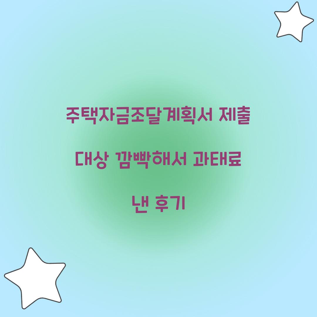 주택자금조달계획서 제출 대상 깜빡해서 과태료 낸 후기