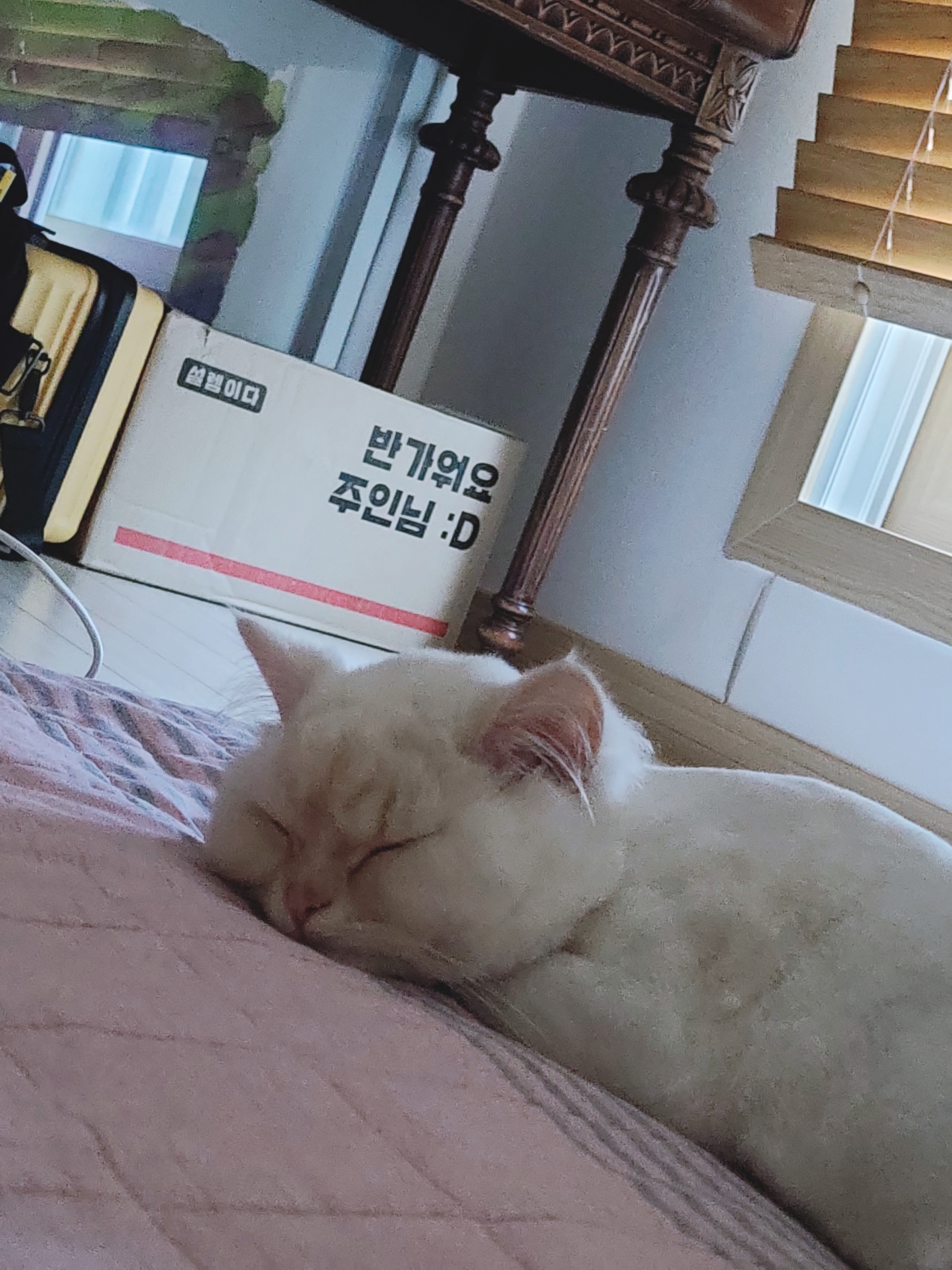 잠을 많이 자도 계속 피곤한 이유는 무엇일까