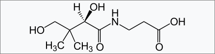 판토텐산 분자구조
