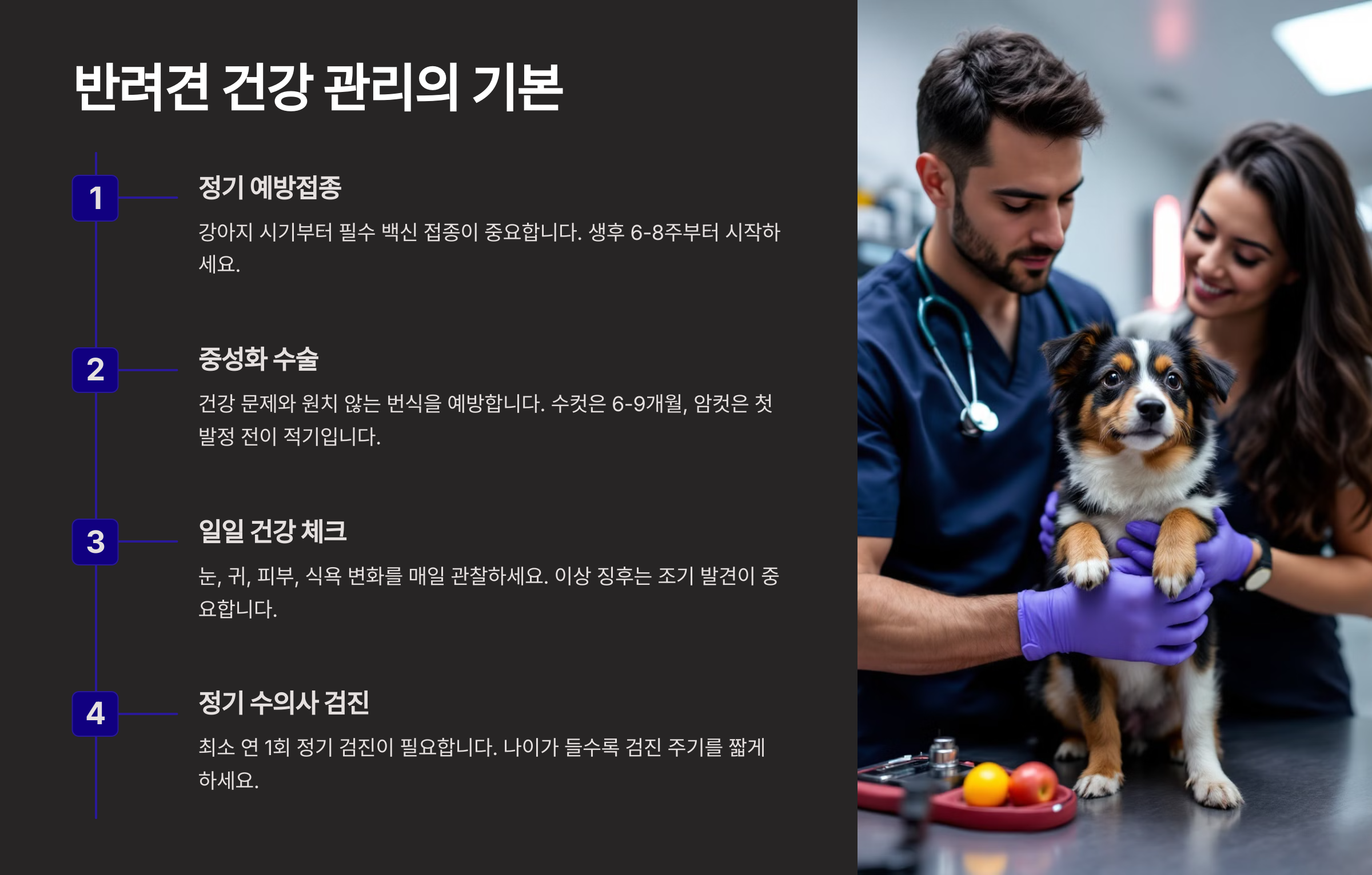 반려견 키우기 완벽한 초보 가이드