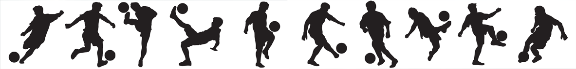 축구 킥의 종류