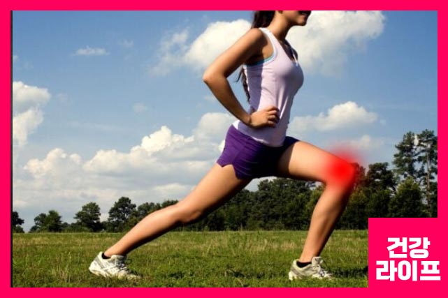 연골에 좋은 영양제 Best 5