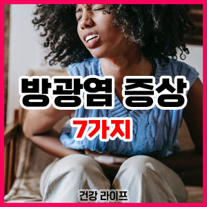 방광염 증상
