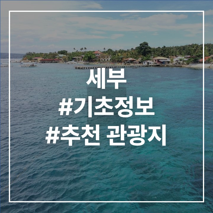 세부사진