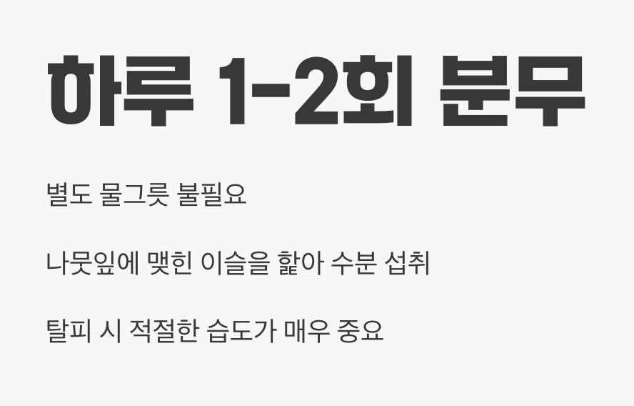 '분무' 한 번, 습도와 물 공급을 동시에!