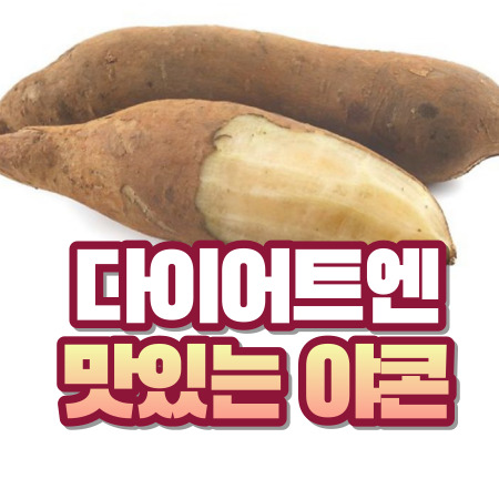 야콘 효능