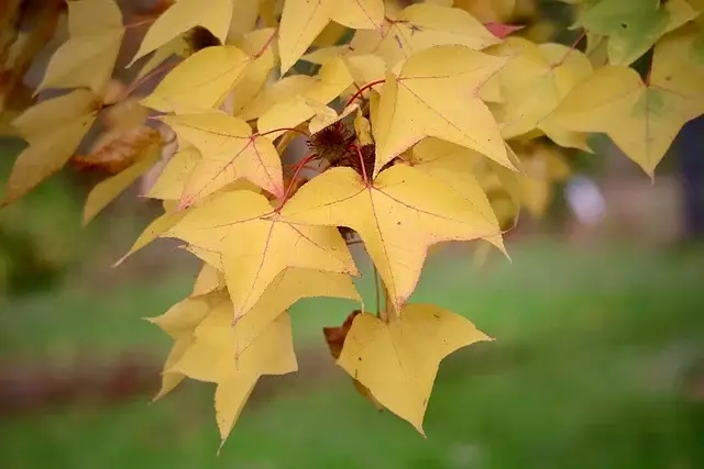 국비 교육으로 시작 가능한 프리랜서 직종