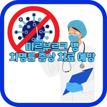 마르부르크 병 치명률 증상 치료 예방