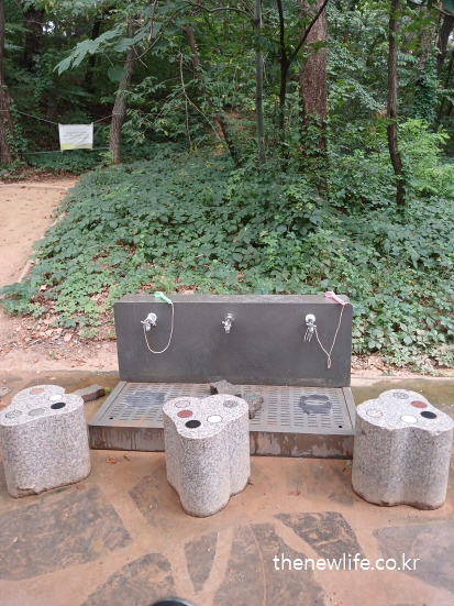 흙길 숲속에 설치된 야외 발 세척 시설과 돌벤치, 어린이대공원 맨발 걷기 후 정화 공간