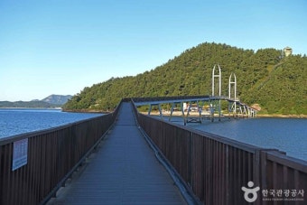 6시 내고향 강진맛집 석문정