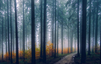 토지대장 무료열람 방법 1