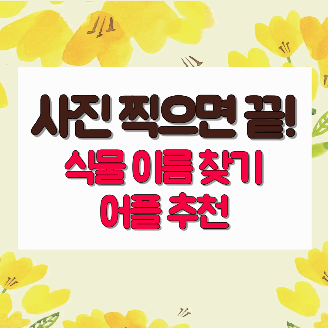 식물 이름이 궁금할 때? 식물 이름찾기 어플 추천!