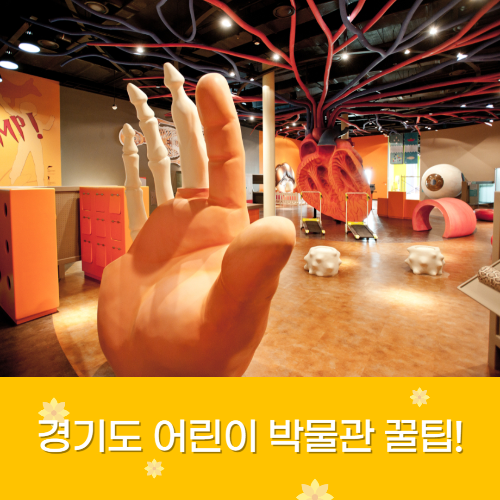 경기도 어린이 박물관 이용 꿀팁