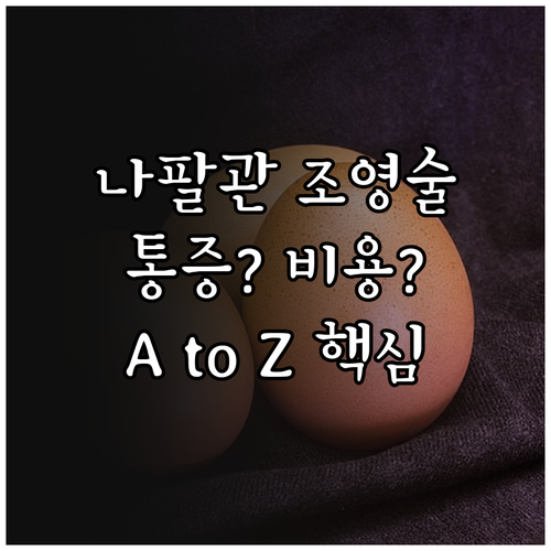 나팔관 조영술 검사 목적 시기 비용 ..