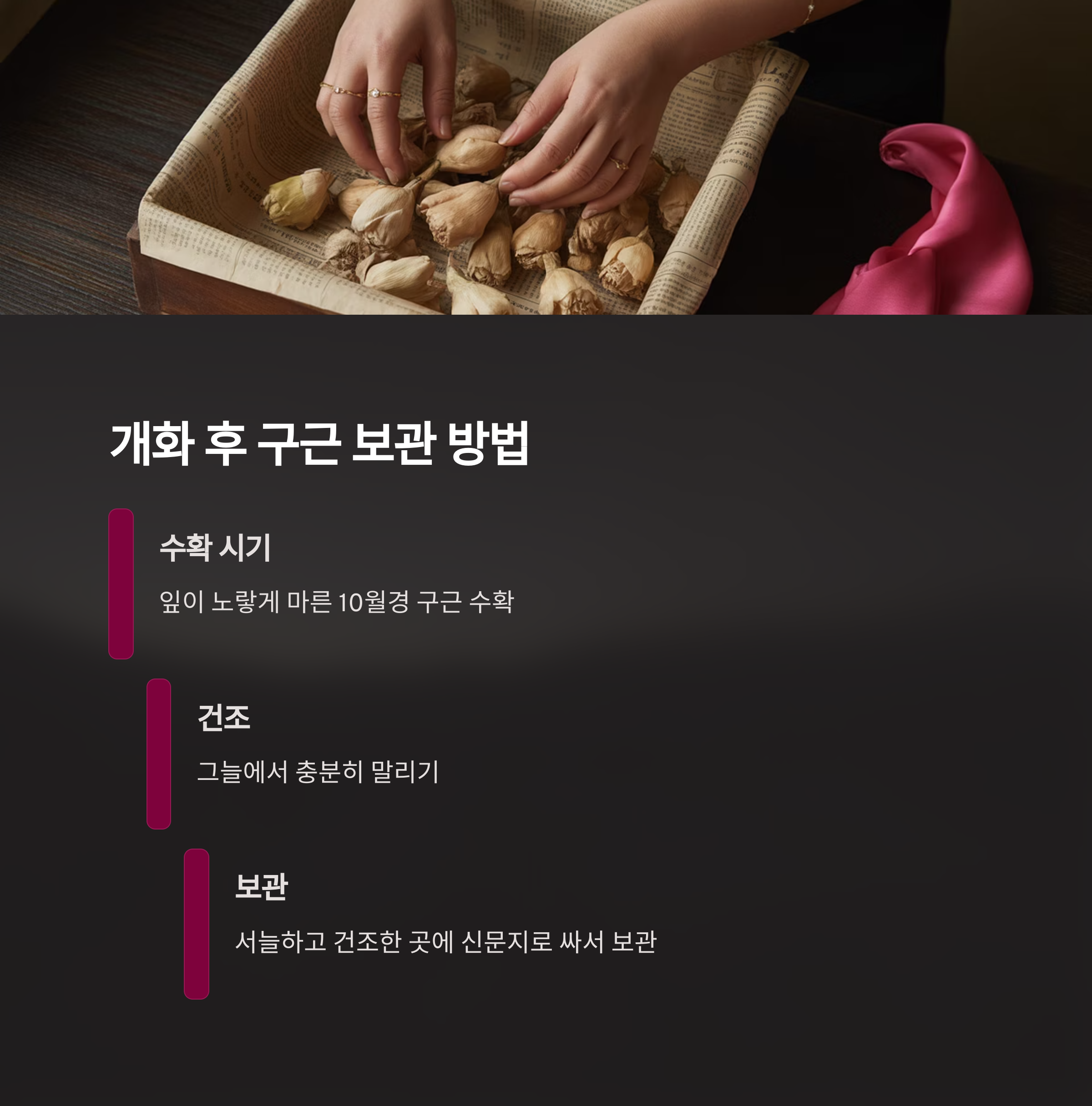 개화 후, 구근은 어떻게 보관해야 할까?