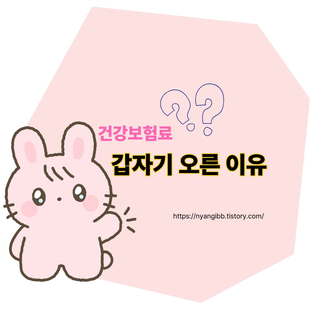 건강보험료 갑자기 오른 이유 관련 사진