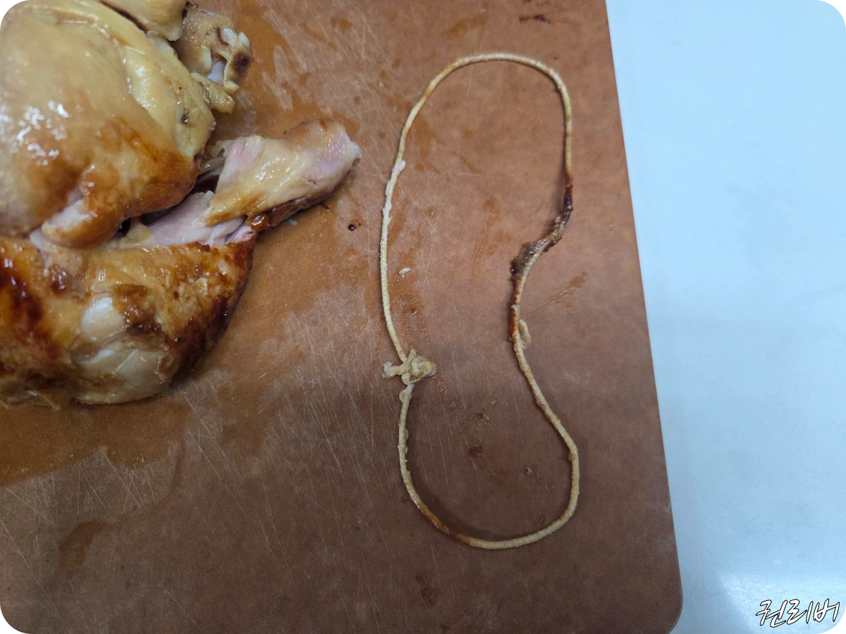 닭-모양-유지-고무줄