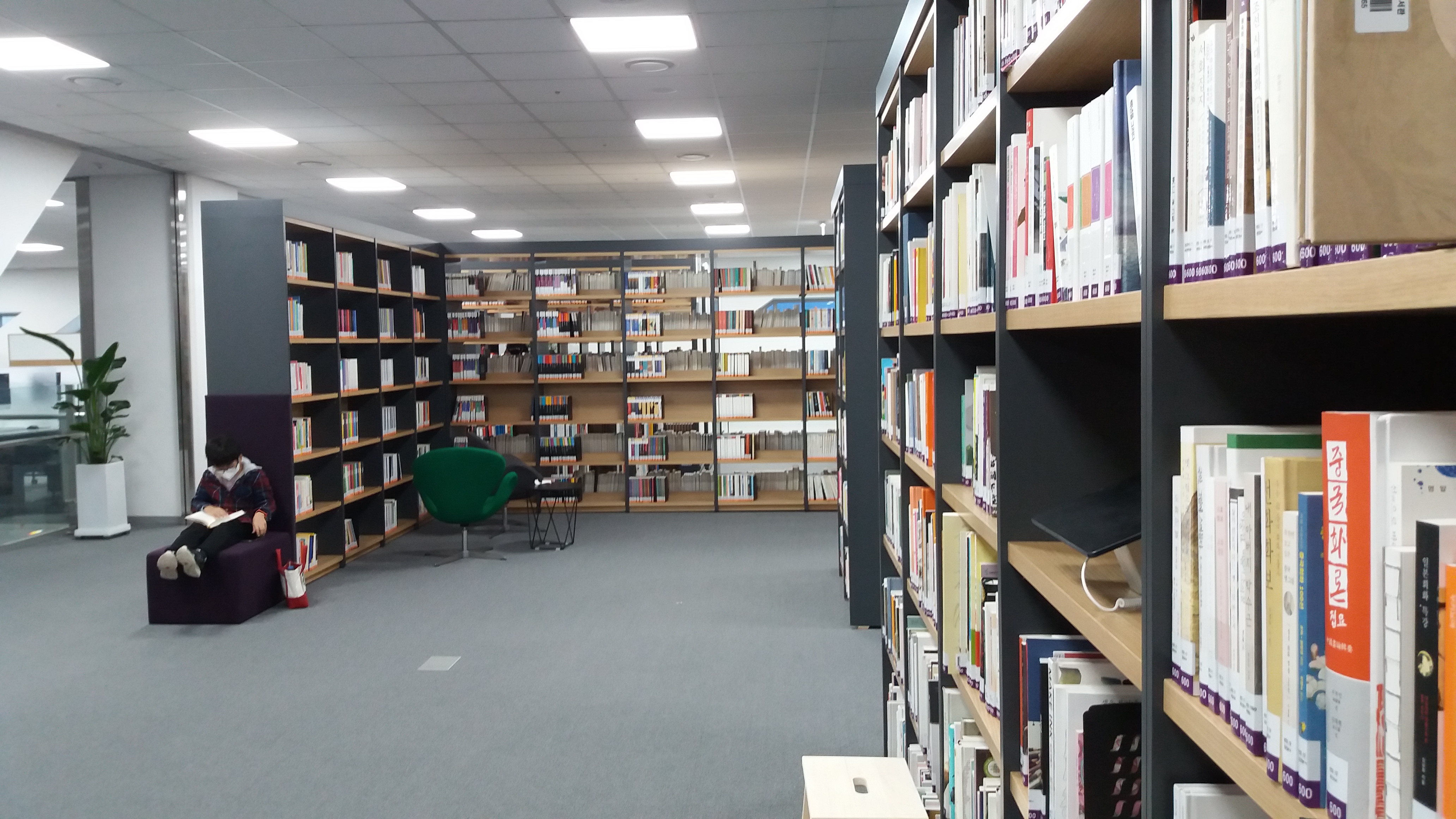 ์ธ์ข
์๋ฆฝ๋์๊ด