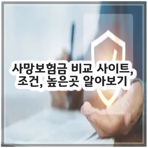 사망보험금 비교 사이트, 조건, 높은곳 알아보기