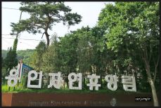 용인자연휴양림