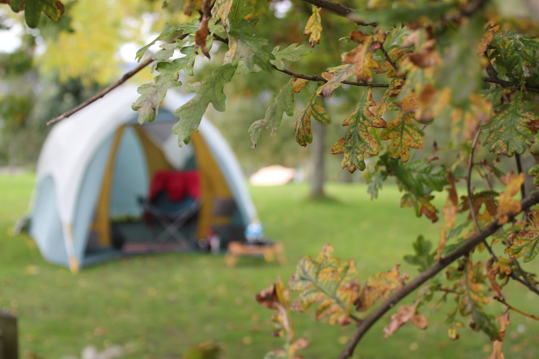 Camping.