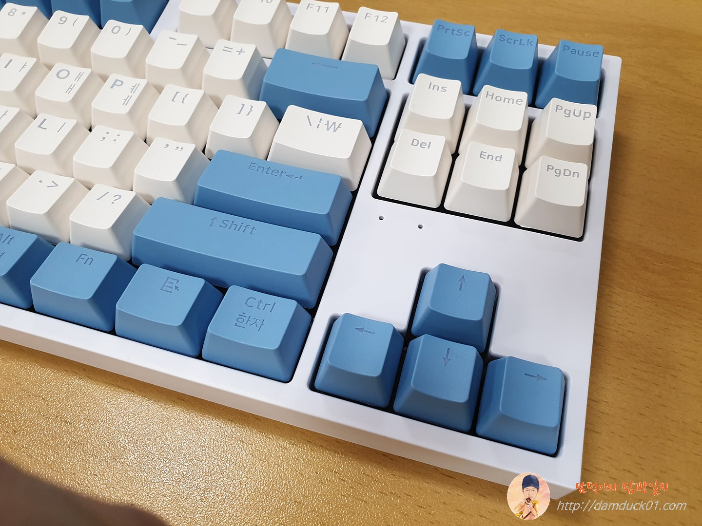 COX CK87 WHITE 크림블루 인디케이터