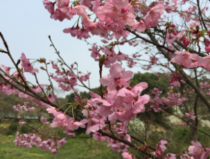 입춘 인사말 이미지 뜻 2025년 입춘시