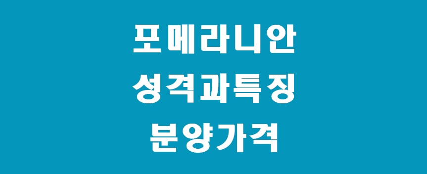 포메-썸네일
