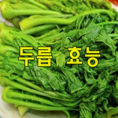 두릅 효능