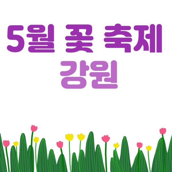 강원도 5월 꽃 축제