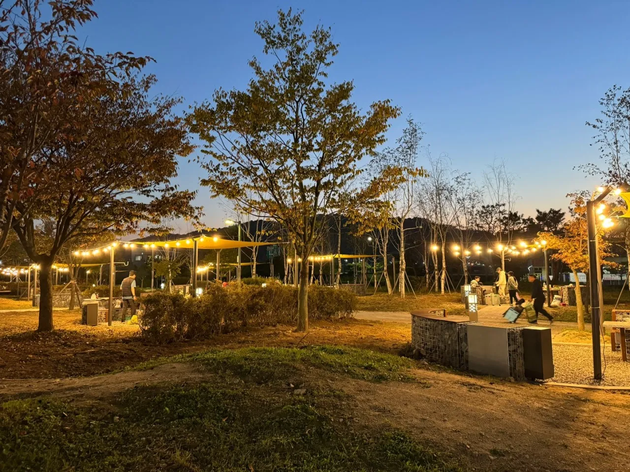 반려동물 동반, 충주 탄금호 피크닉공원 2025년 재개장 – 요금·예약 방법 총정리