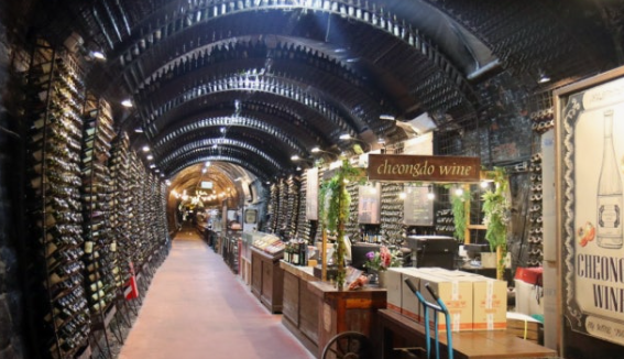 청도미나리축제