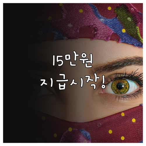 청년문화예술패스 15만원 지급 시기 ..