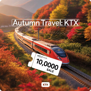 코레일 가을여행 관광열차 50%할인 + 내일로패스 1만원 할인 이미지