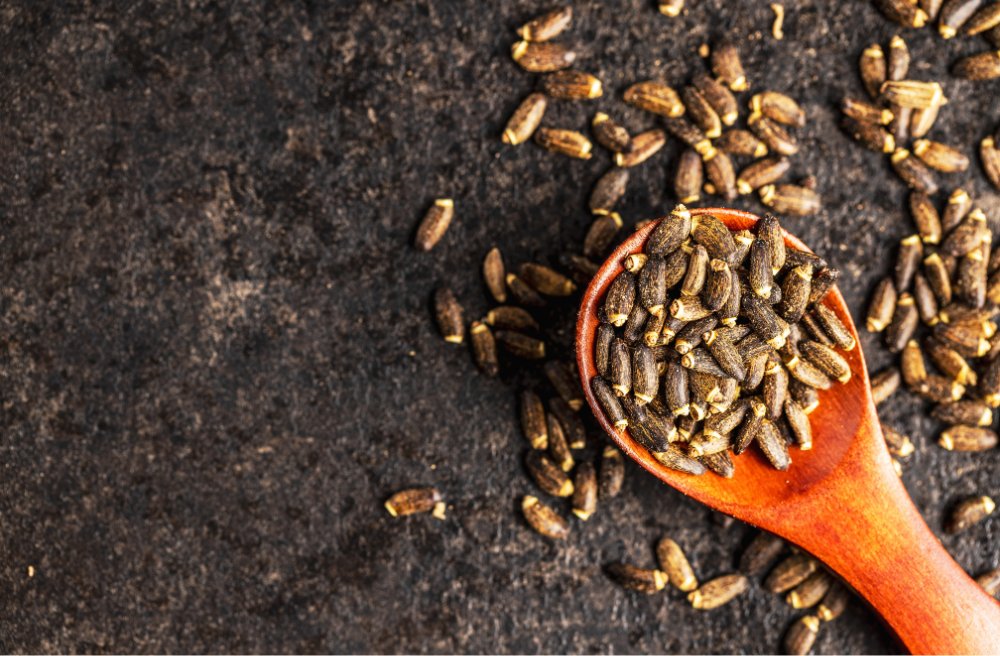 밀크씨슬 효능 부작용