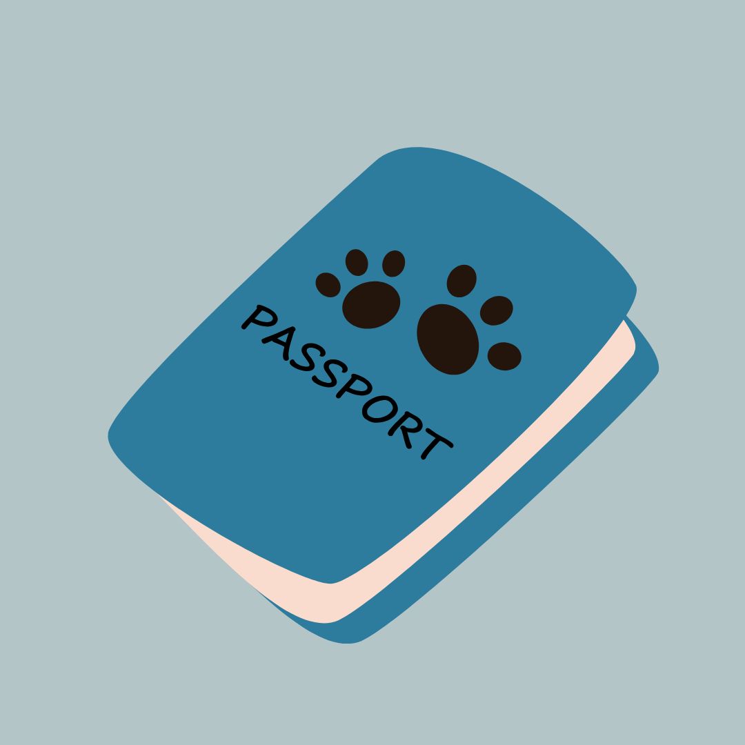 반려동물과/여행하기/대중교통별/이용방법